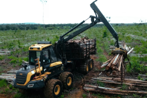 Chega ao mercado o primeiro pneu desenvolvido no Brasil exclusivo para colheita florestal
